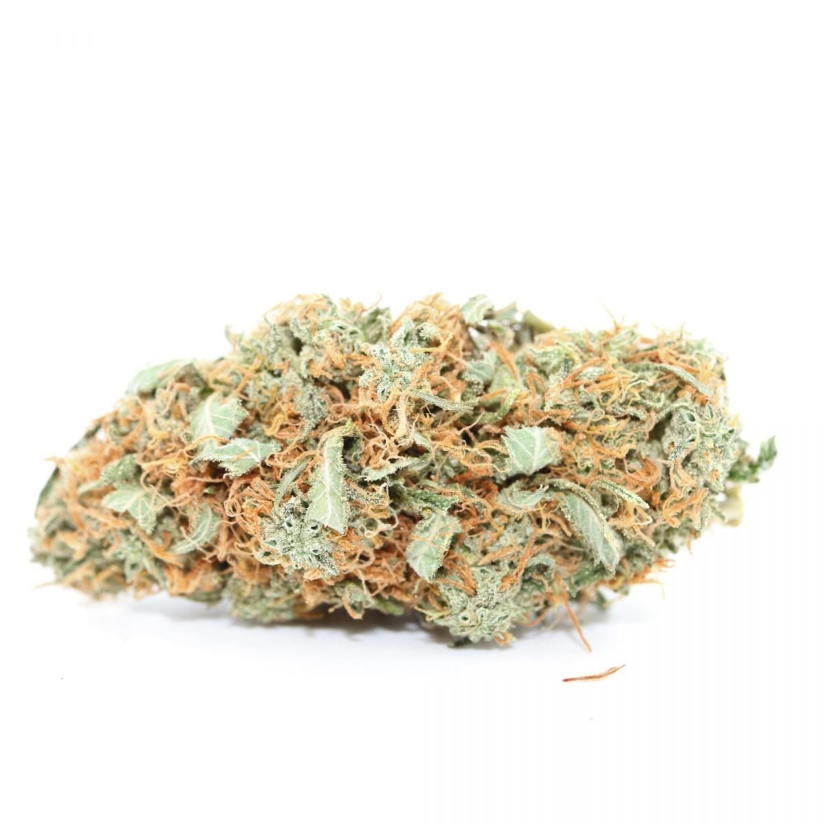 25 Off Coupon Code + Reviews